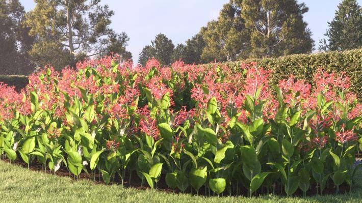 Bushes and Flowers Volume 4 - Rendered Image 20