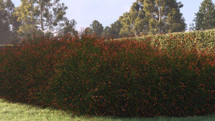 Bushes and Flowers Volume 4 - Rendered Image 23