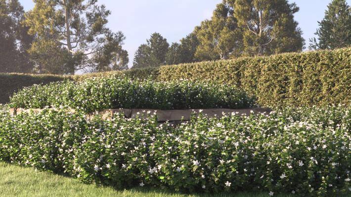 Bushes and Flowers Volume 4 - Rendered Image 6