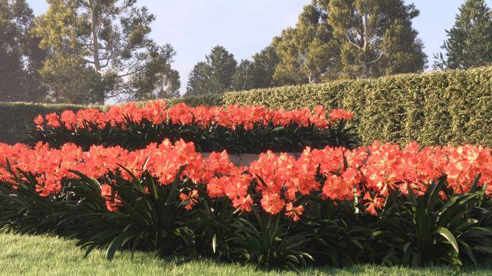 Bushes and Flowers Volume 4 - Rendered Image 7