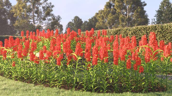 Bushes and Flowers Volume 4 - Rendered Image 9