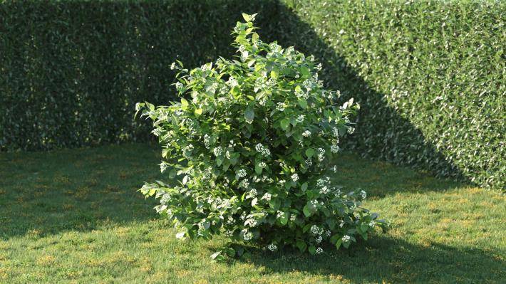 Bushes and Flowers Volumen 5 - Imagen renderizada 1