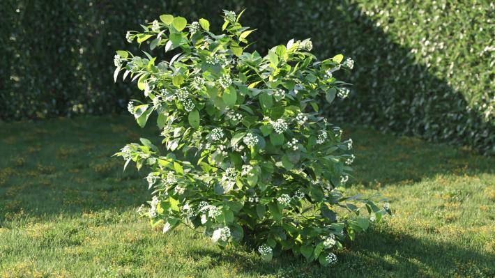 Bushes and Flowers Volumen 5 - Imagen renderizada 2