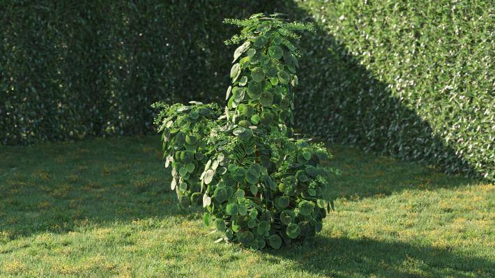 Bushes and Flowers Volumen 5 - Imagen renderizada 4