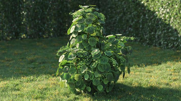 Bushes and Flowers Volumen 5 - Imagen renderizada 6