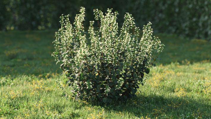 Bushes and Flowers Volumen 5 - Imagen renderizada 16