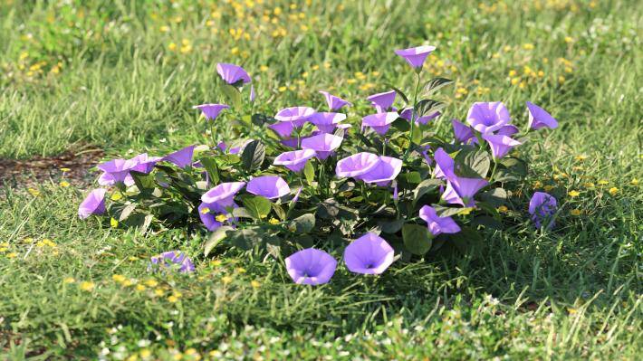 Bushes and Flowers Volumen 5 - Imagen renderizada 23