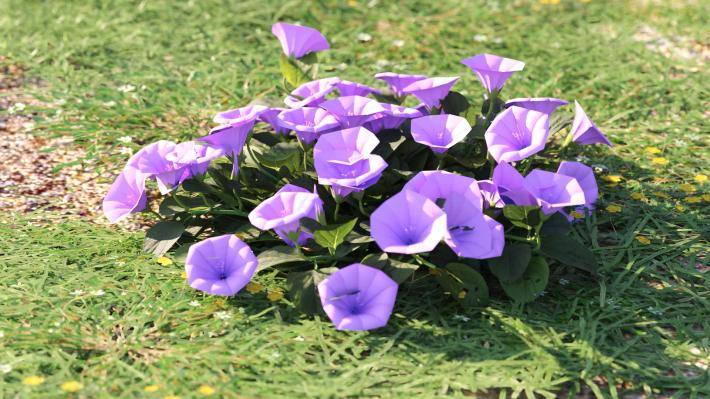 Bushes and Flowers Volumen 5 - Imagen renderizada 24