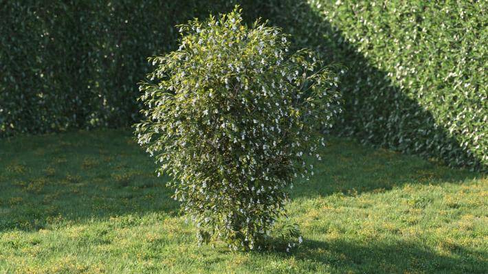 Bushes and Flowers Volumen 5 - Imagen renderizada 30