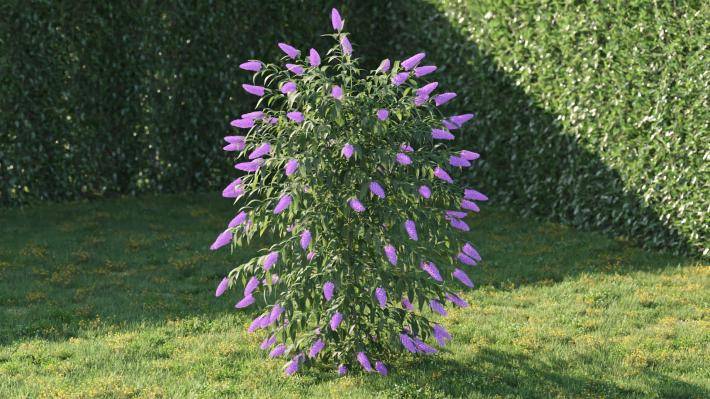 Bushes and Flowers Volumen 5 - Imagen renderizada 37