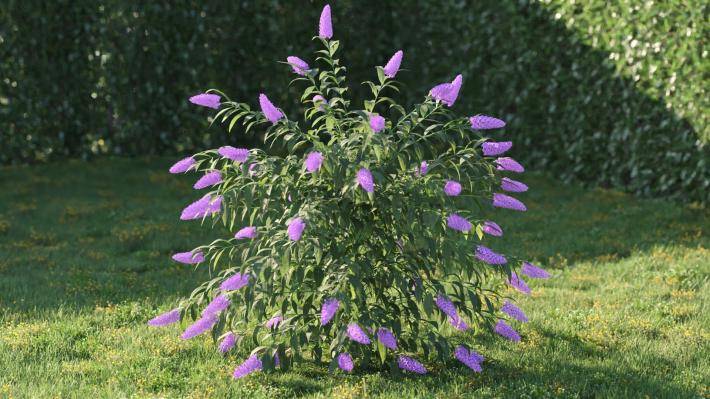 Bushes and Flowers Volumen 5 - Imagen renderizada 38