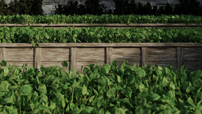 Декоративные растения Том 1 - Рендерированное изображение 1