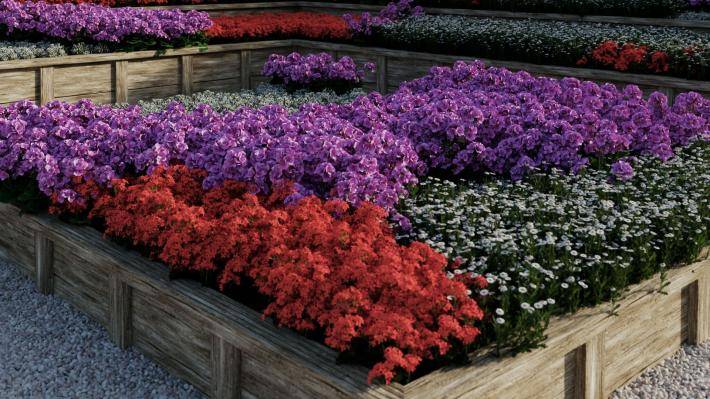 Декоративные растения Том 1 - Рендерированное изображение 2