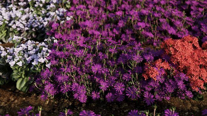 Декоративные растения Том 1 - Рендерированное изображение 5