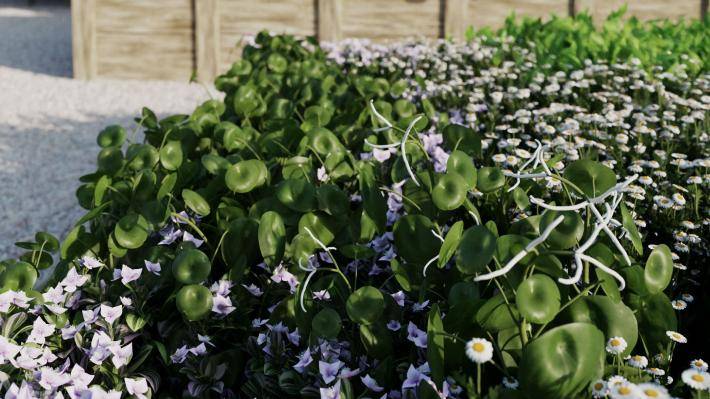 Декоративные растения Том 1 - Рендерированное изображение 7