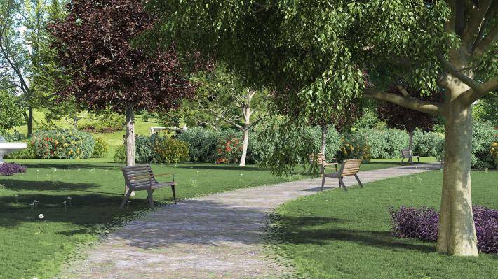 Arbres communs européens 2ieme volume - Image rendue 1