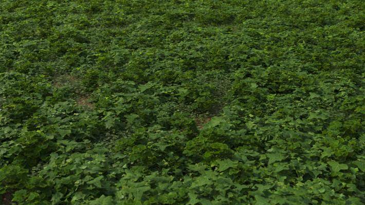 Couverture de sol Volume 1 - Image rendue 11