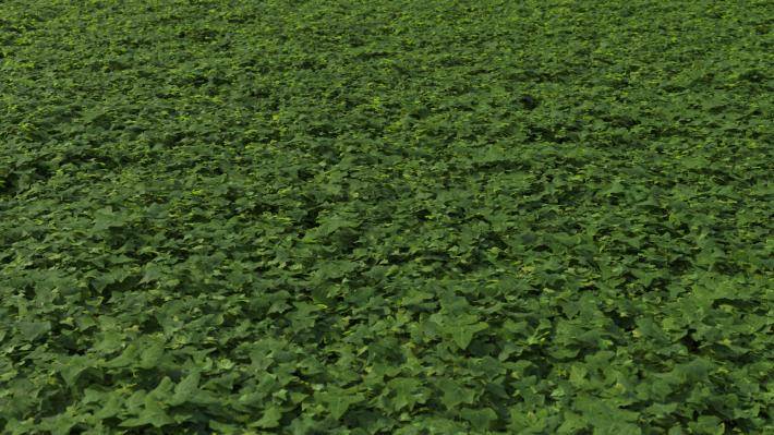 Couverture de sol Volume 1 - Image rendue 12