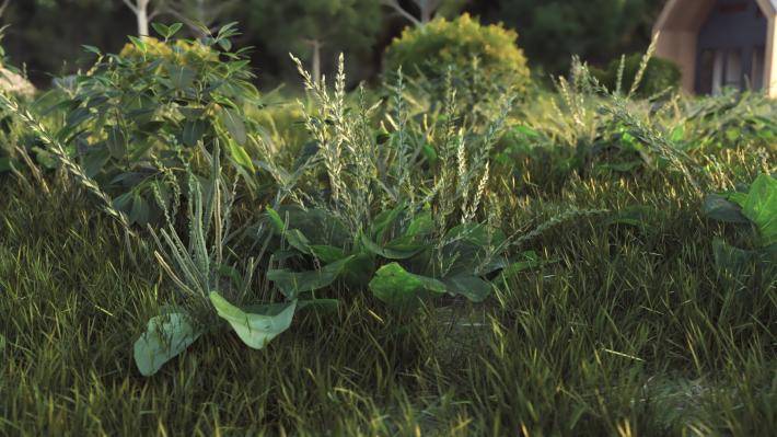 Couverture de sol Volume 1 - Image rendue 3