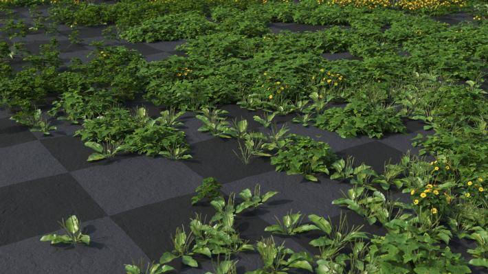 Couverture de sol Volume 1 - Image rendue 8