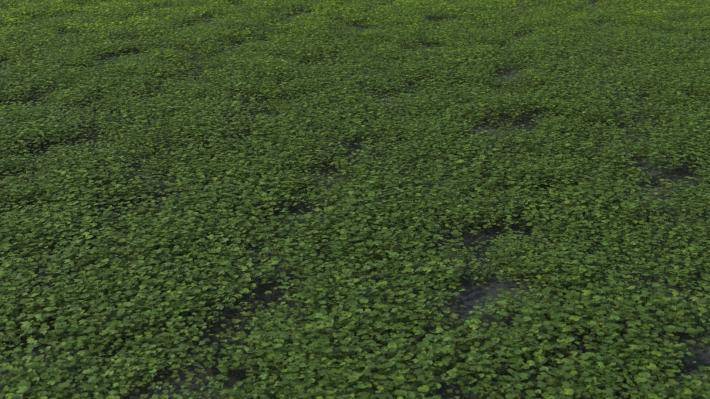 Couverture de sol Volume 1 - Image rendue 9