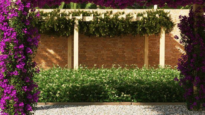 Висячие растения Том 1 - Рендерированное изображение 3