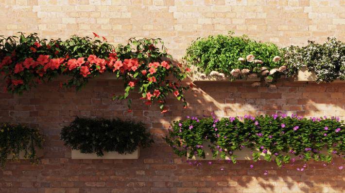 Висячие растения Том 1 - Рендерированное изображение 4