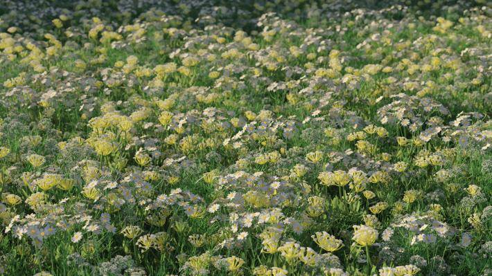 Plantas pequeñas Volumen 1 - Imagen renderizada 2