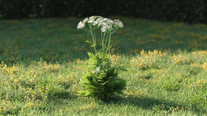 Plantas pequeñas Volumen 1 - Imagen renderizada 7