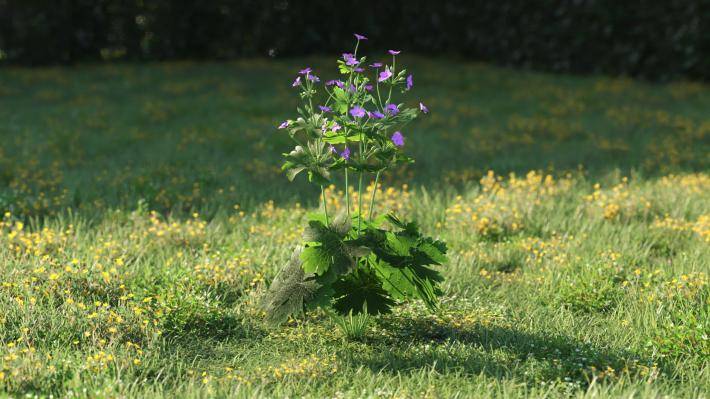 Plantas pequeñas Volumen 1 - Imagen renderizada 13