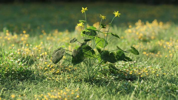 Plantas pequeñas Volumen 1 - Imagen renderizada 23