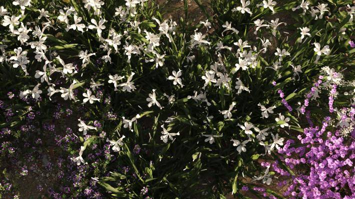 Маленькие растения Том 2 - Рендерированное изображение 10