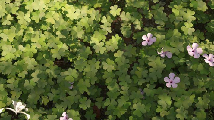 Маленькие растения Том 2 - Рендерированное изображение 11