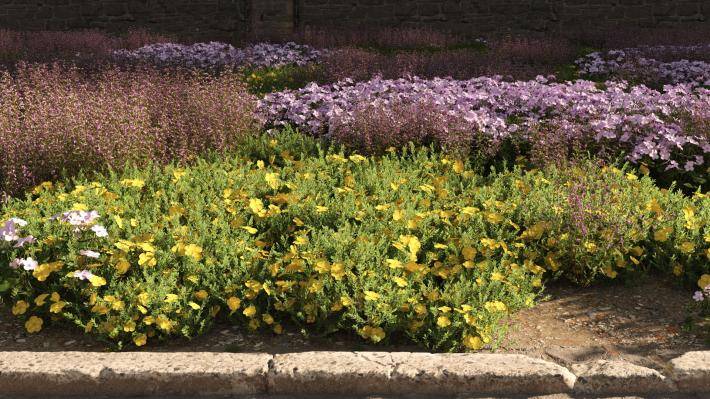 Маленькие растения Том 2 - Рендерированное изображение 12