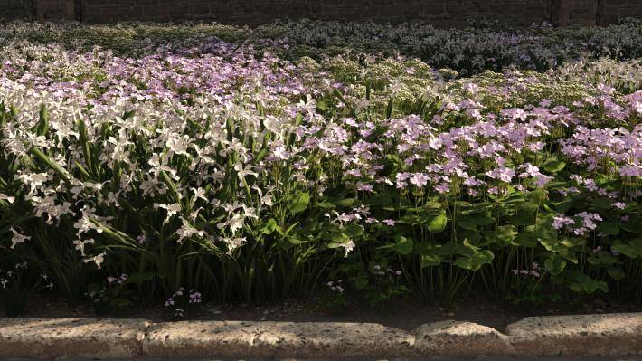 Маленькие растения Том 2 - Рендерированное изображение 13