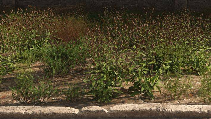 Маленькие растения Том 2 - Рендерированное изображение 14