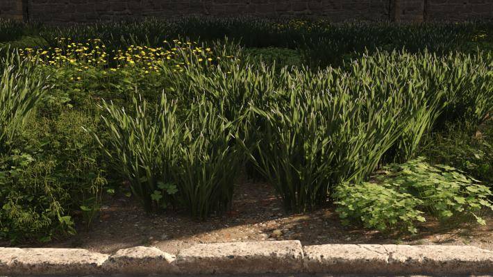 Маленькие растения Том 2 - Рендерированное изображение 15