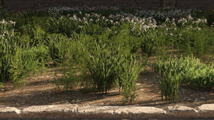 Маленькие растения Том 2 - Рендерированное изображение 16