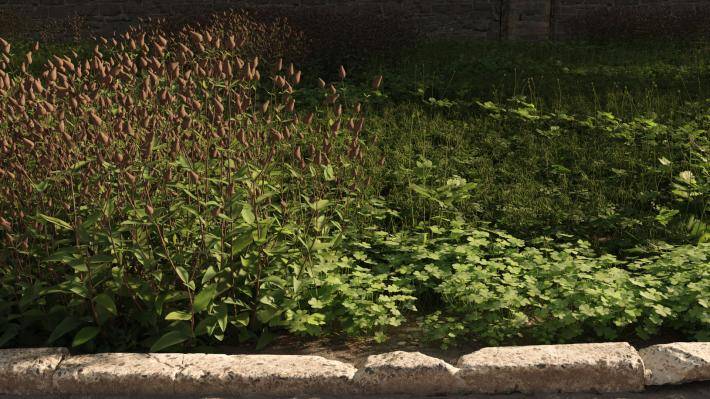 Маленькие растения Том 2 - Рендерированное изображение 18