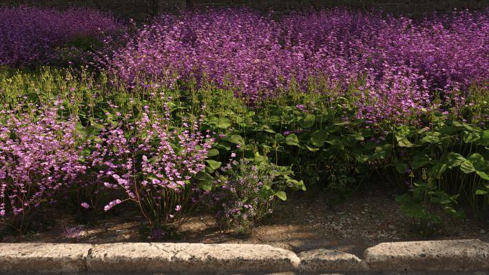 Маленькие растения Том 2 - Рендерированное изображение 19