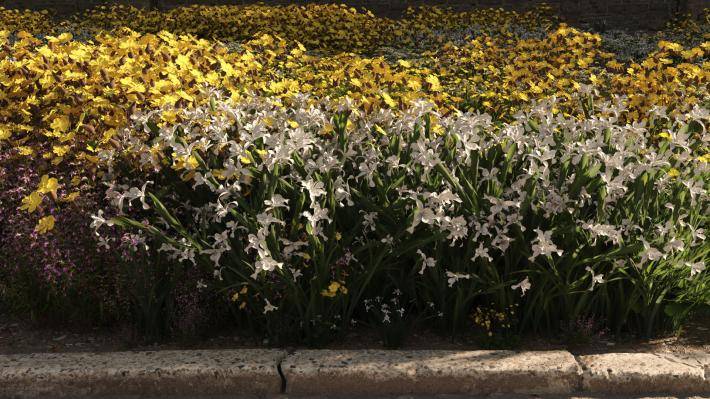 Маленькие растения Том 2 - Рендерированное изображение 23