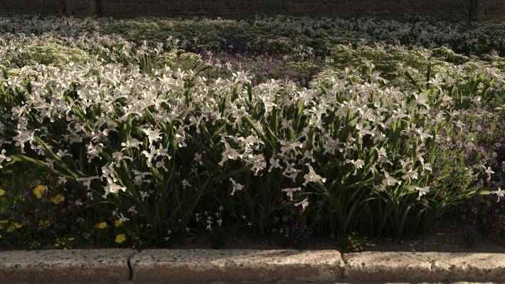 Маленькие растения Том 2 - Рендерированное изображение 24