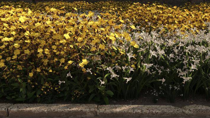 Маленькие растения Том 2 - Рендерированное изображение 25