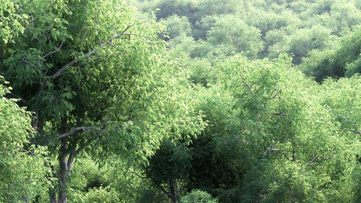 Summer Volumen 1 - Imagen renderizada 1