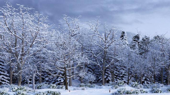 Winter Volumen 1 - Imagen renderizada 1