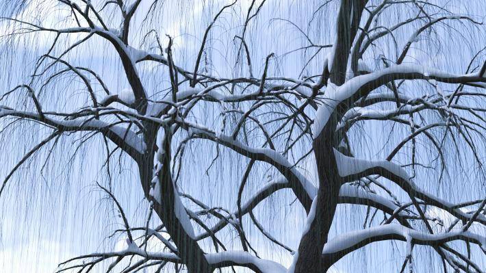 Collection Hiver 2ieme volume - Image rendue 2