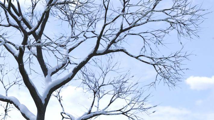 Collection Hiver 2ieme volume - Image rendue 3