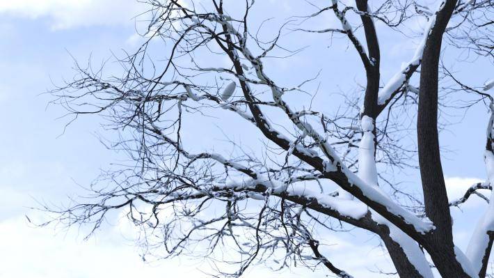 Collection Hiver 2ieme volume - Image rendue 4