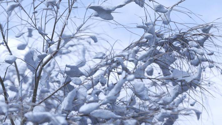 Collection Hiver 2ieme volume - Image rendue 5