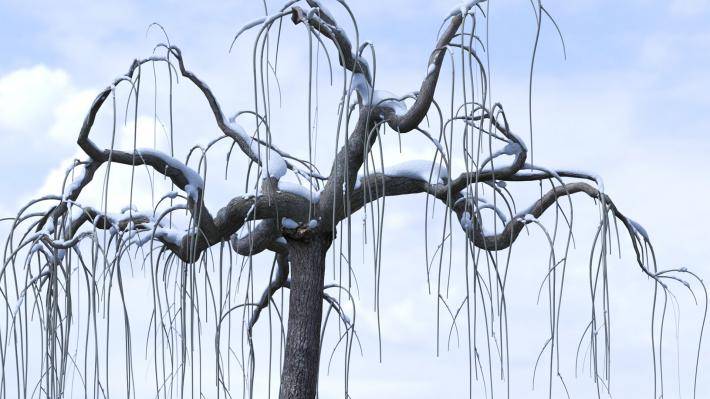 Collection Hiver 2ieme volume - Image rendue 6